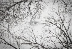 Eye in the Sky