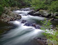 Smoky Mountain Zig Zag